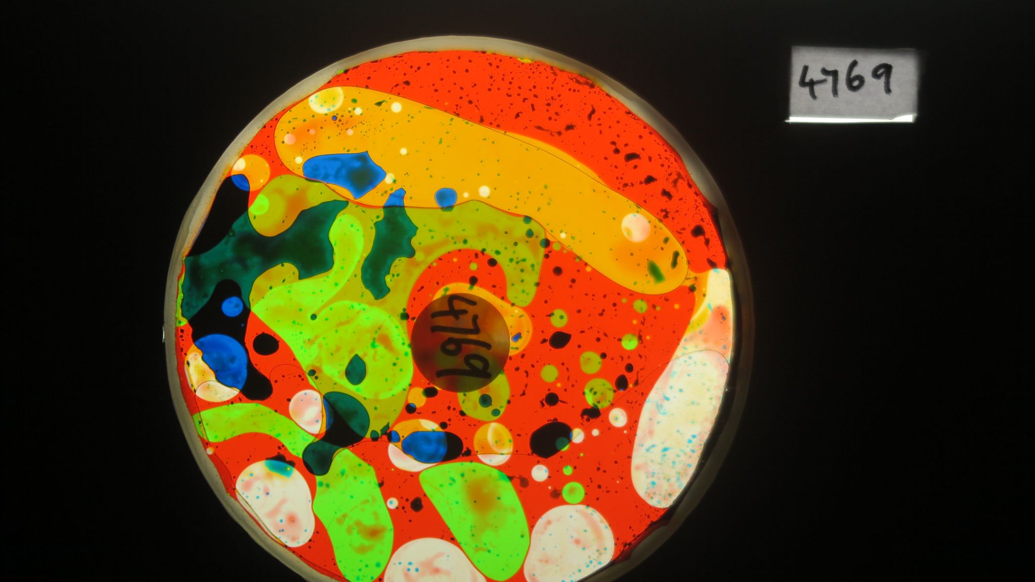 BV4769 bubble vision oil wheel